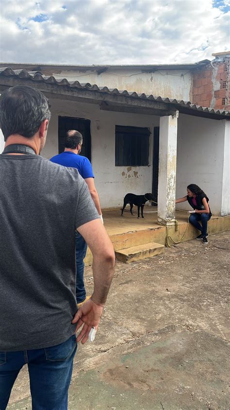 homem comendo o cu do cachorro|Homem preso por zoofilia adestrou cachorro para que ele。